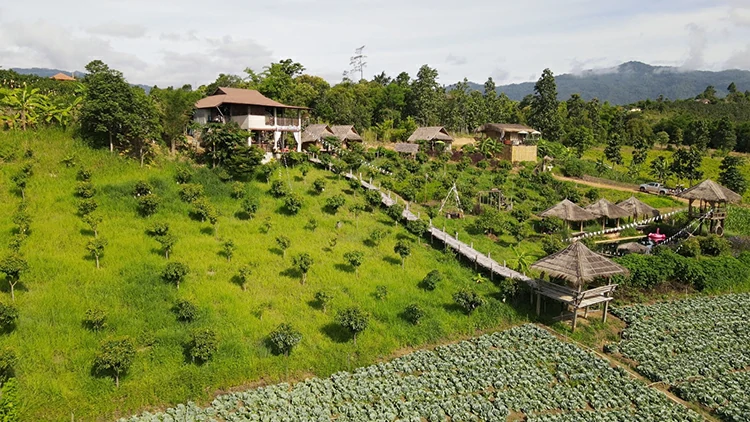 บ้านสวนสันติสุข ต.แสนไห อ.เวียงแหง