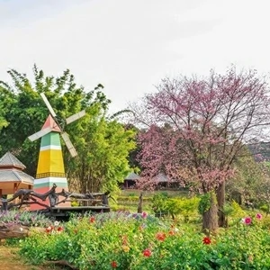 ภาพอำเภอเวียงแหง