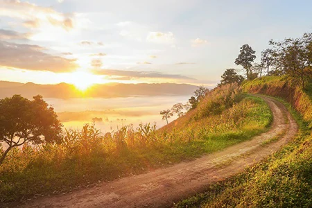ทะเลหมอก พระอาทิตย์ขึ้น จุดชมวิวซี-หลง-ซัง