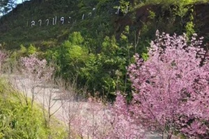 เส้นทางบ้านเลาวู ประตูเวียงแหง